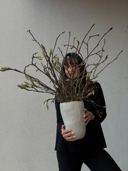 🌸 1 steam of Magnolia