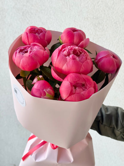 7 "Coral Charm" Peonies