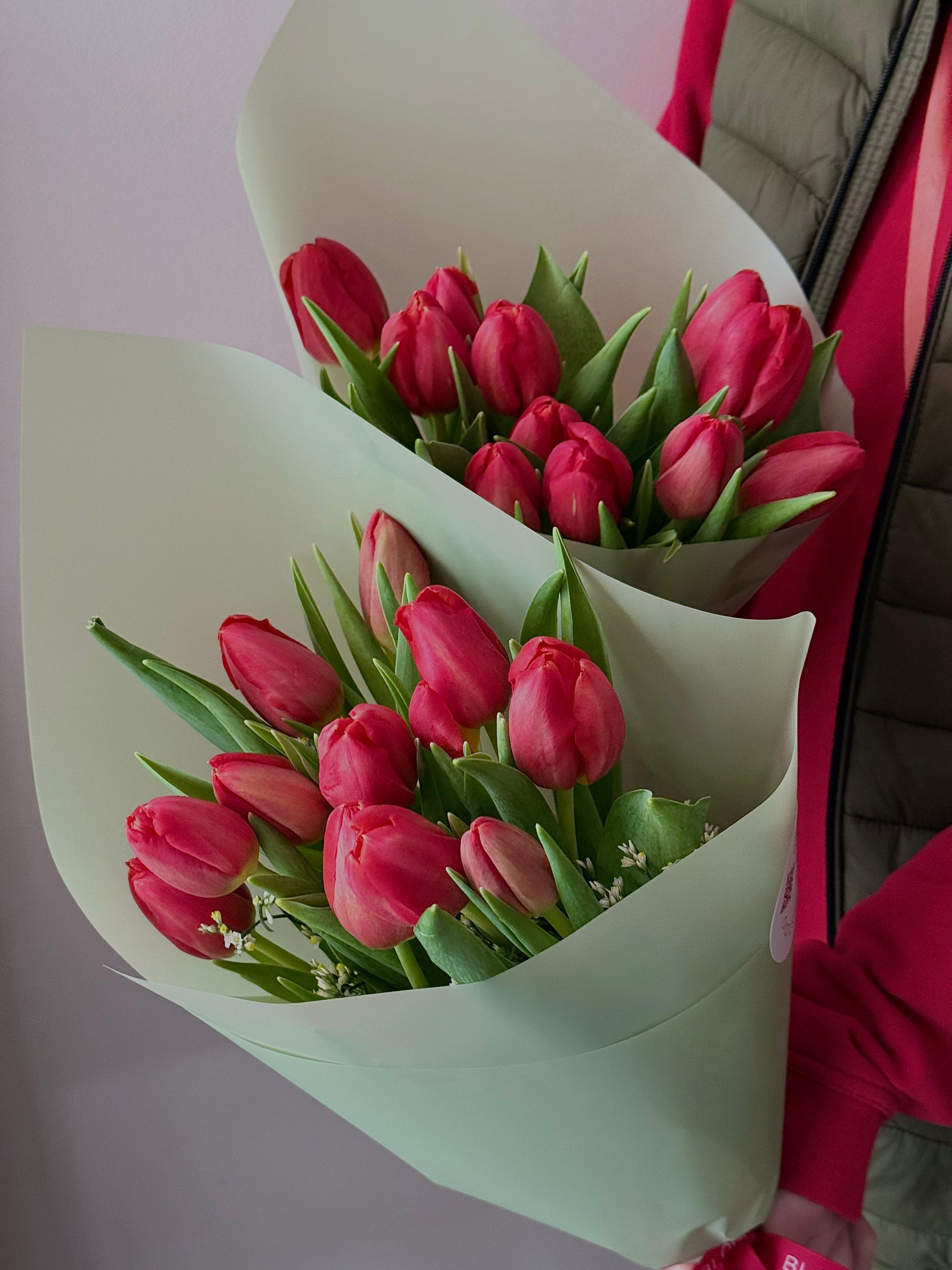 Punase tulbi kimbud rohelises paberis | Букеты красных тюльпанов в зеленой упаковке | Red tulip bouquets wrapped in green paper
