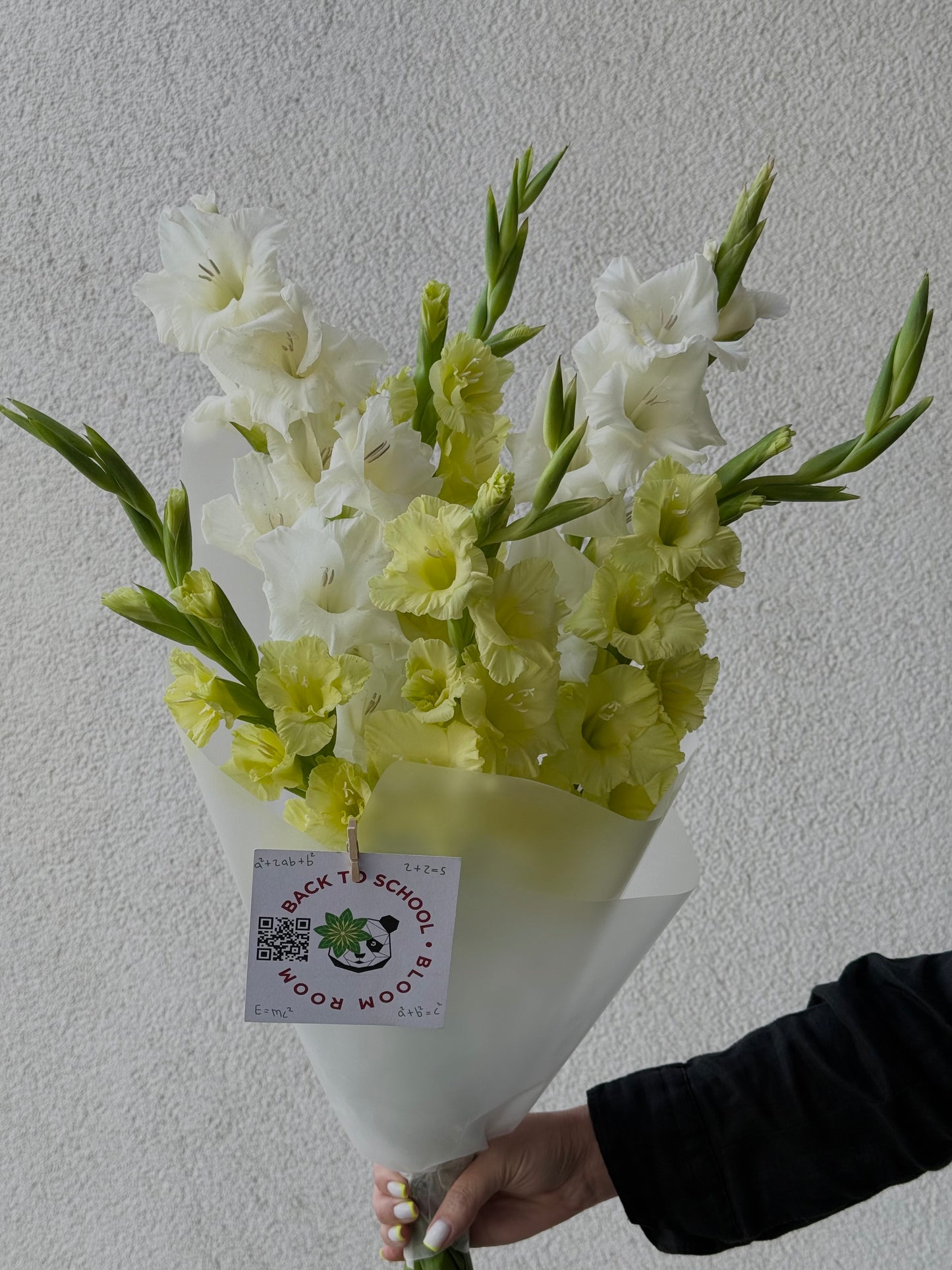 “Back to School” with 7 Gladioluses