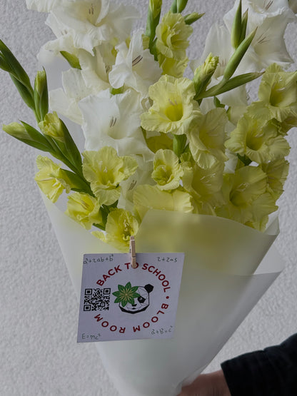 “Back to School” with 7 Gladioluses