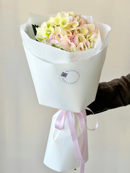 "Watermelon" Hydrangea