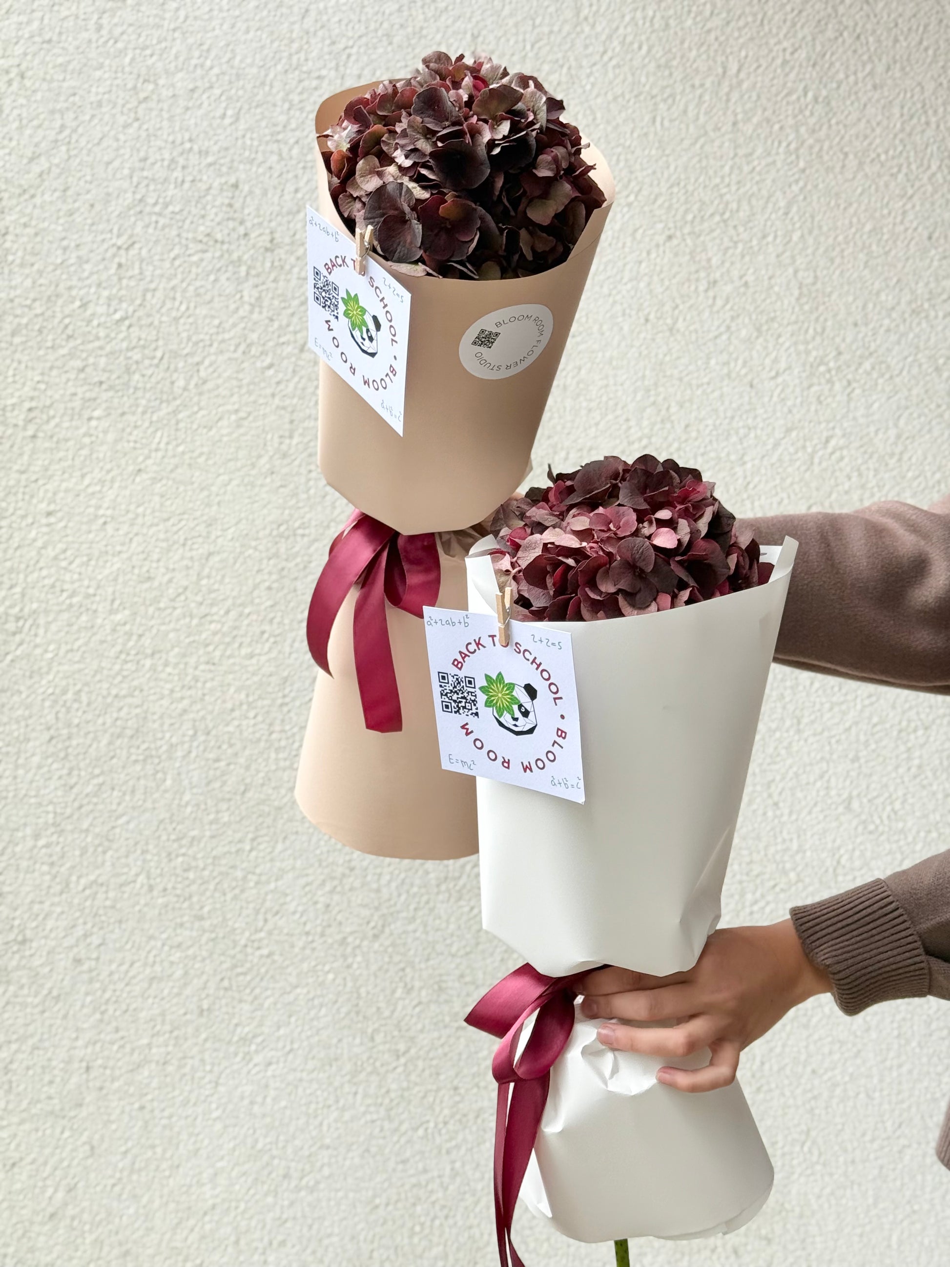 Burgundia hortensia kimbud | Бургундская гортензия букеты | Burgundy hydrangea bouquets
