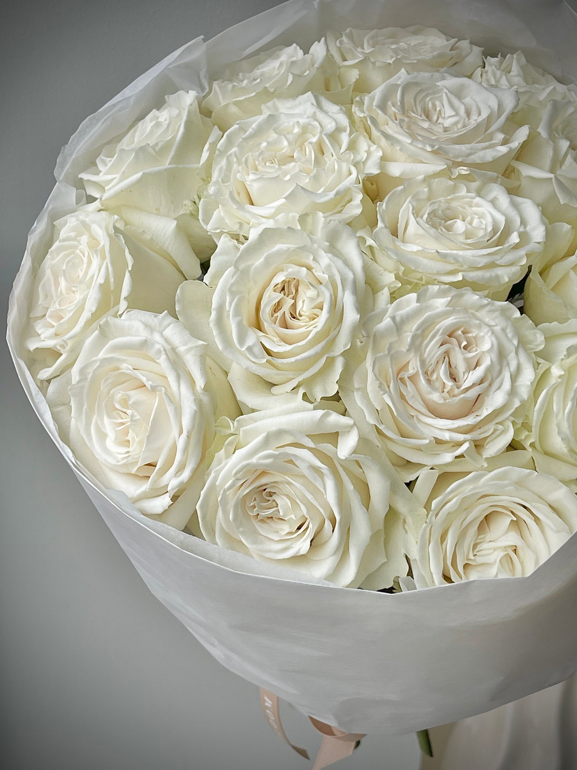 Premium "Playa Blanca" White roses showcase a pure and elegant beauty. With a rich, creamy hue and velvety petals, these roses offer a stunning and long-lasting display.