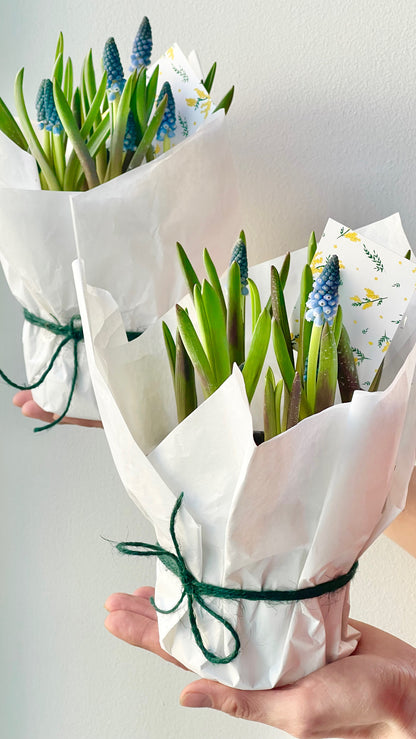 Mugula kimp valges pakendis | Цветочная композиция в белой упаковке | Elegant flower arrangement in white packaging