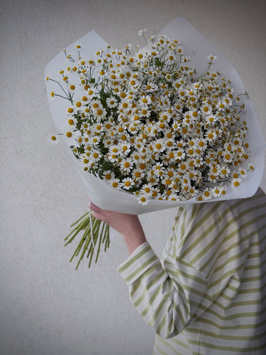 Matrikaaria kimp 19 daisiest | Букет матрикарии из 19 ромашек | Matricaria mono bouquet of 19 daisies