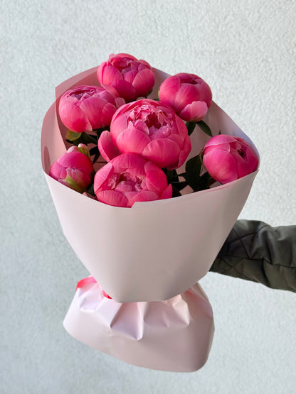 7 "Coral Charm" Peonies