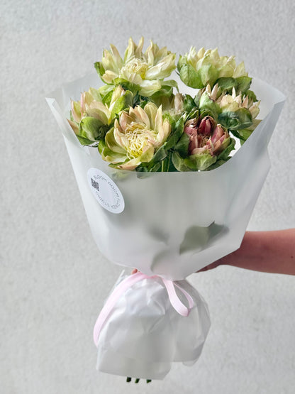 7 köögiviljaaiaroosi kimp | Букет из 7 овощных садовых роз | Bouquet of 7 Veggie garden Roses