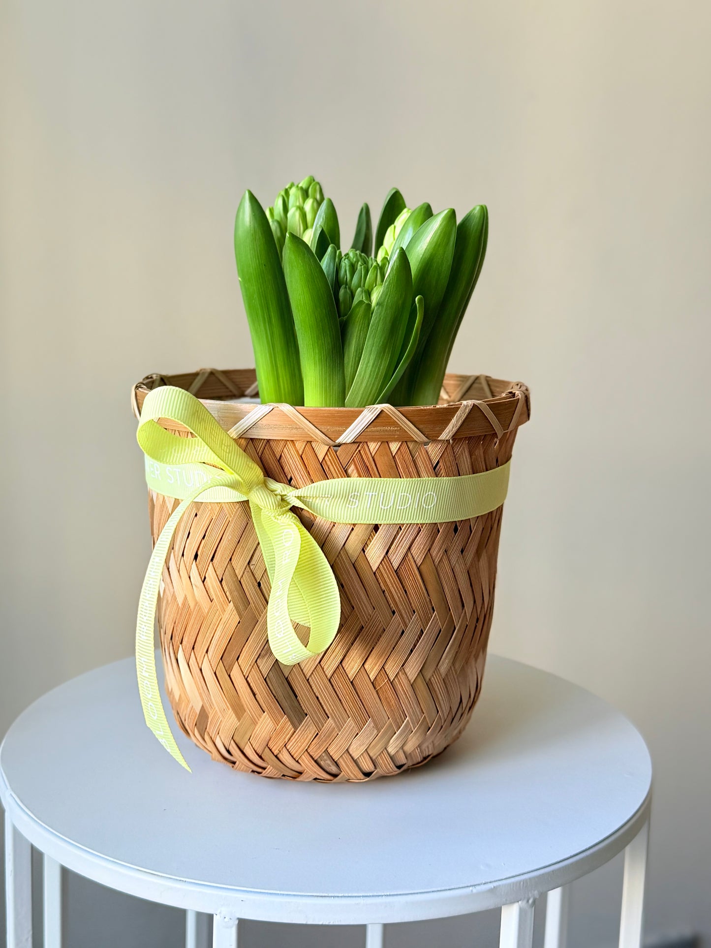 Hüatsintide taimed korvis | Гиацинты в корзине | Hyacinth plants in a basket