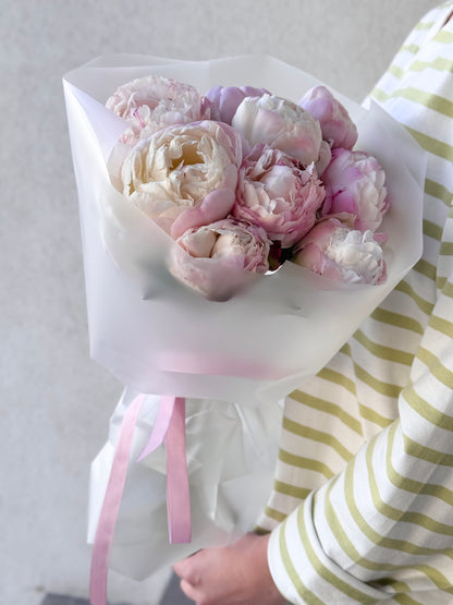 9 aedonia pojengit | 9 пионов садоводства | 9 Gardenia Peonies