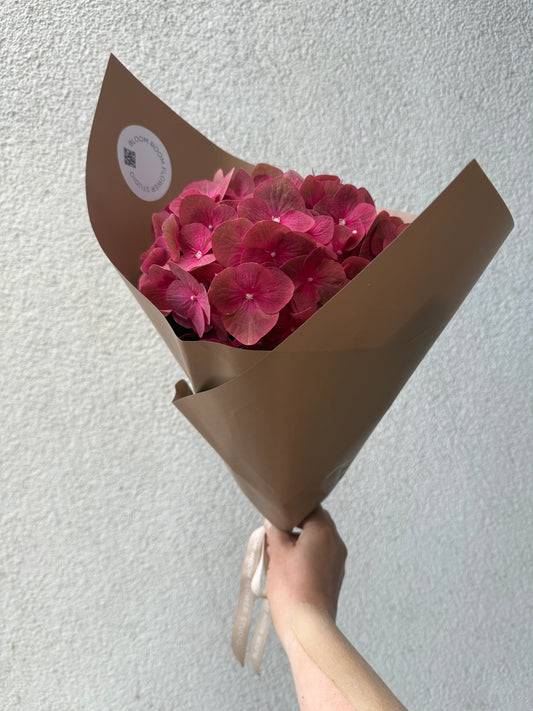 Burgundy hydrangea – BloomRoom.ee, fresh flowers in Tallinn