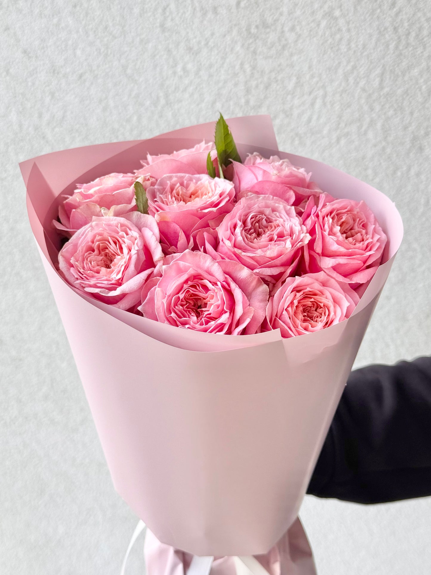 9 Garden Roses