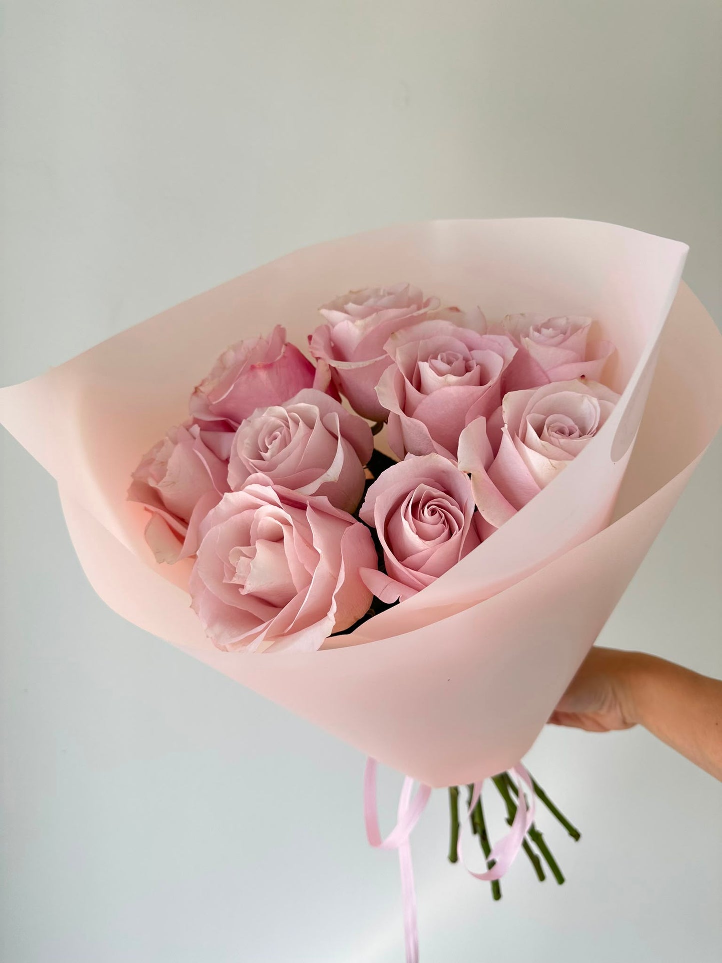 9 Ecuador Roses "Secret Garden"