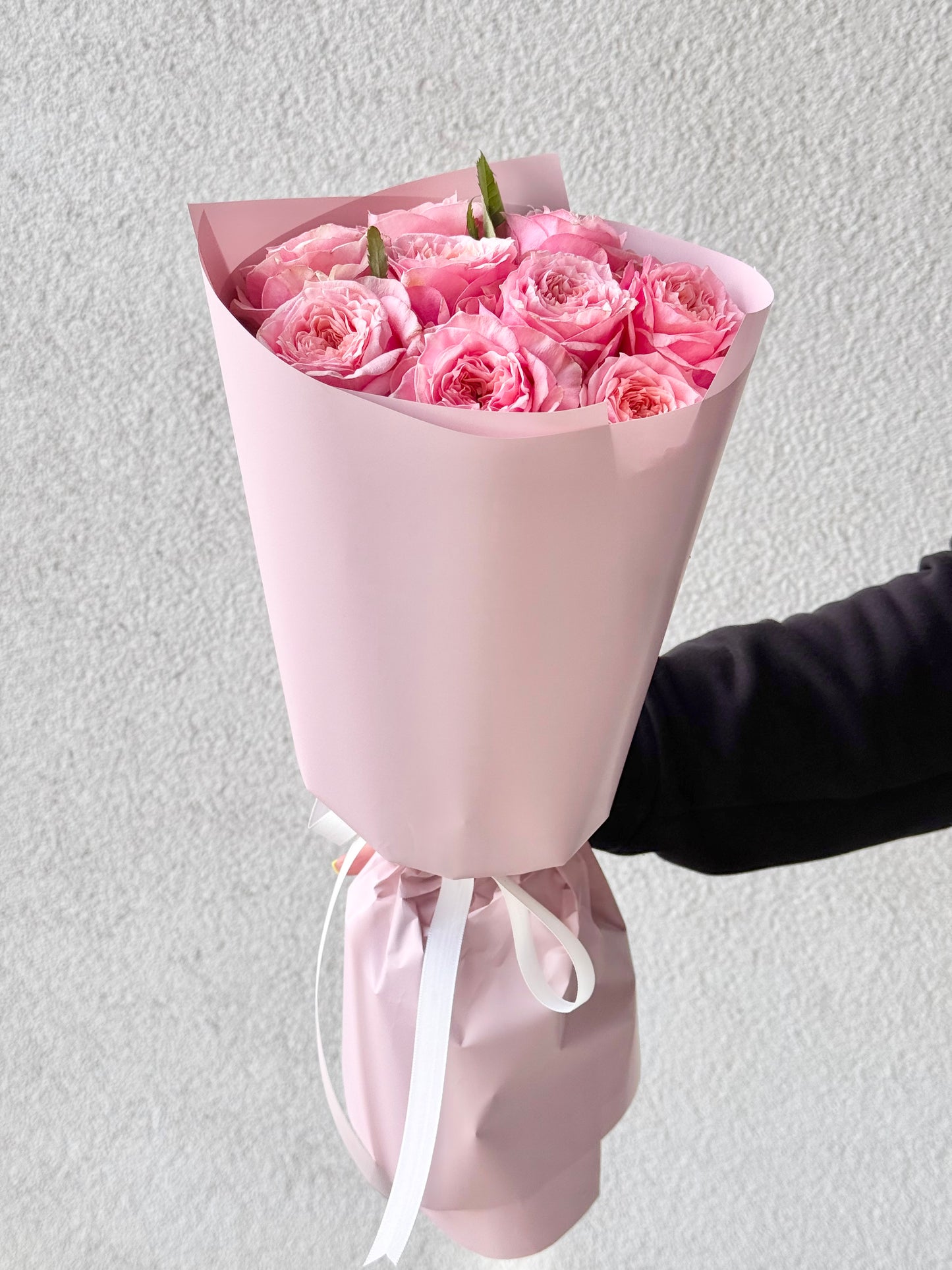 9 Garden Roses