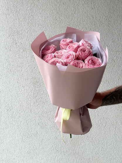 11 "Mansfield Park" Garden Roses