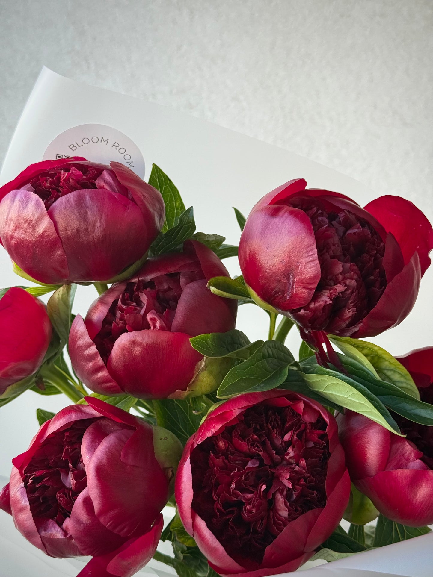 9 punast Charm peooniat elegantses pakendis | 9 красных пионов в элегантной упаковке | 9 Red Charm Peonies in elegant wrapping