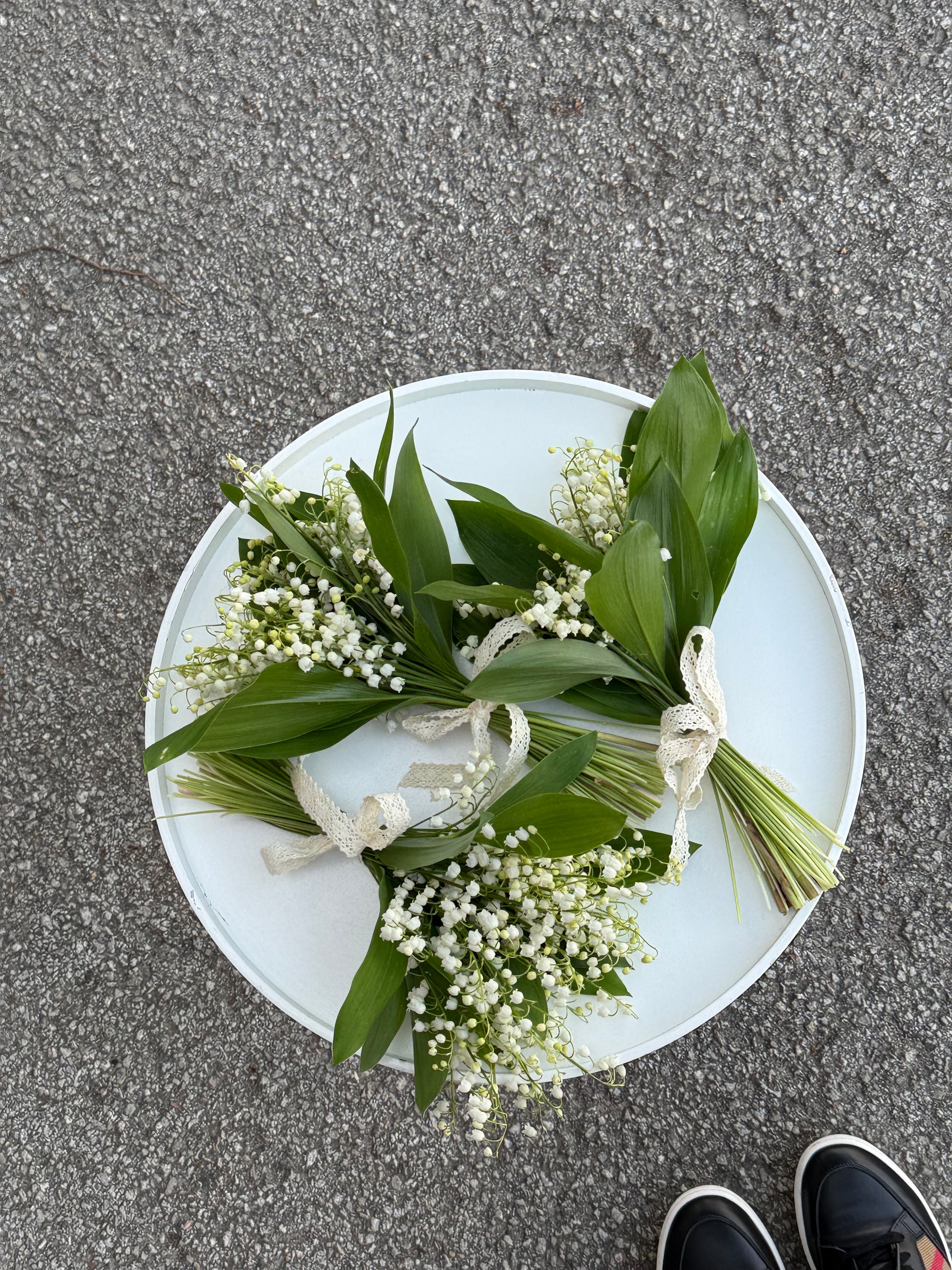 Metsik Lilleorg, väike lillekimp | Маленький букет ландышей | Small bouquet of lily of the valley