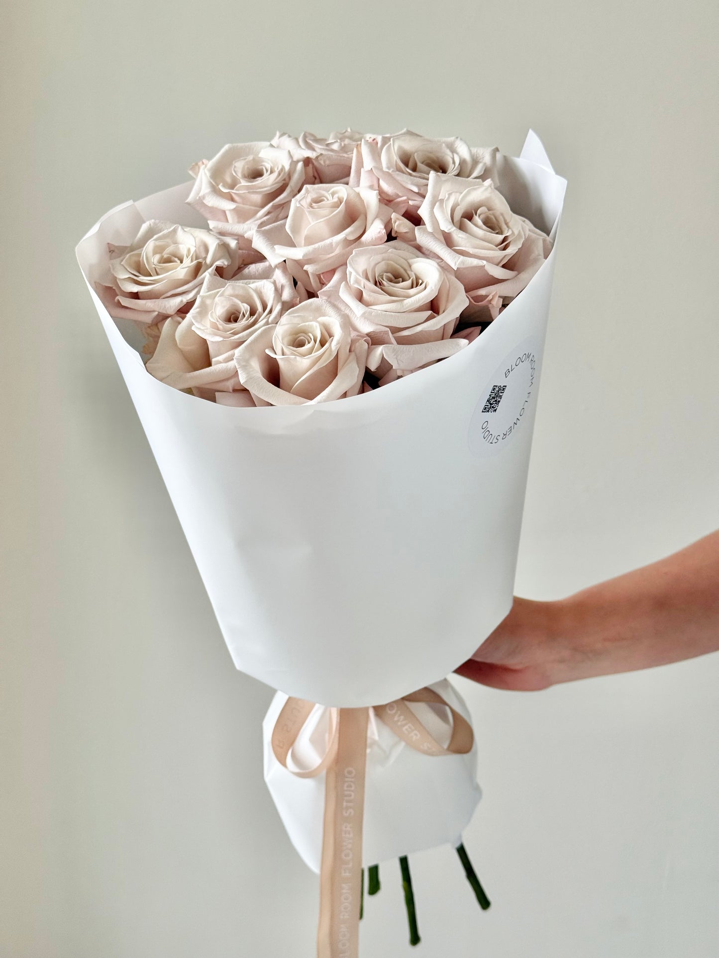 9 "Menta" Roses