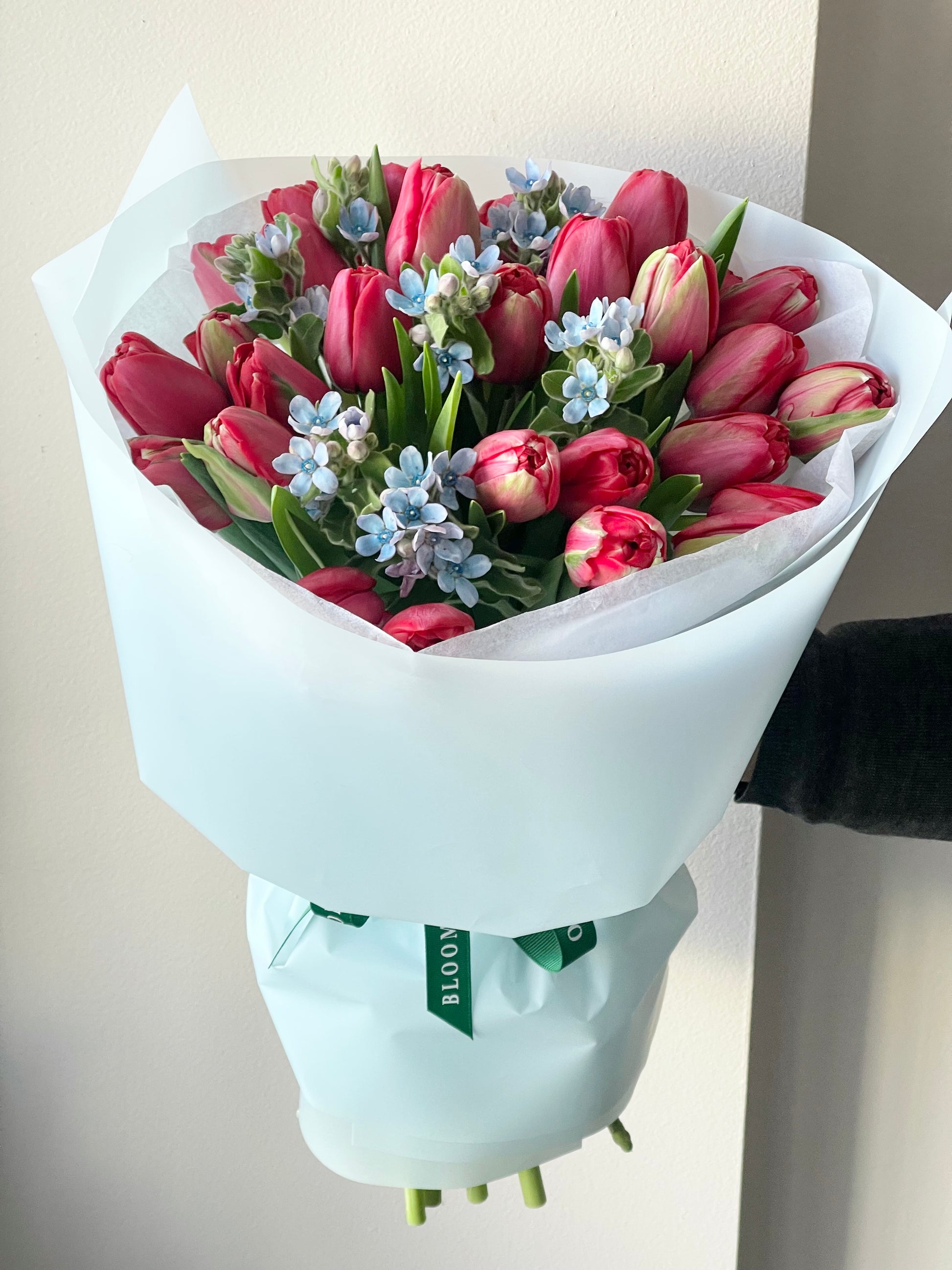 Tuhat tulpi roosa värvi ja sinised oksüpetalumid suurtes kimpudes | Красные тюльпаны с синими оксипеталумами | Red tulips with blue oxypetalum in a large bouquet