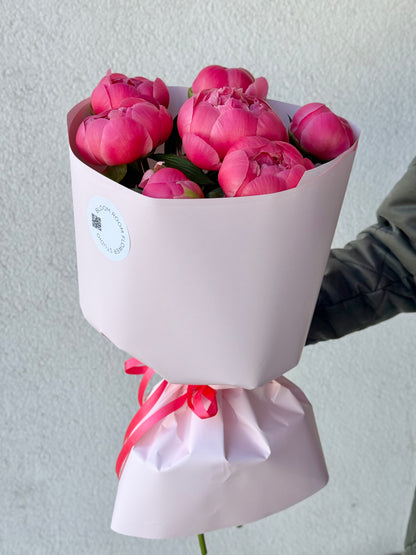 7 "Coral Charm" Peonies
