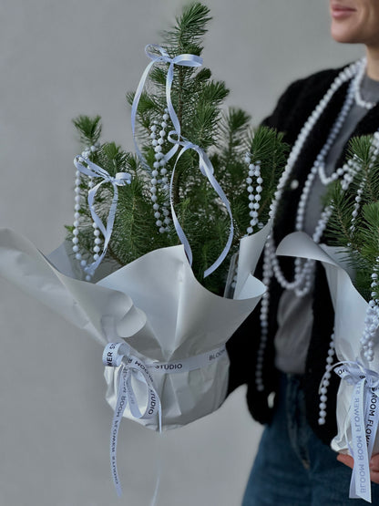Ilusad rohelised kuused valgete paeltega | Красивые зеленые ели с белыми лентами | Beautiful green pines with white ribbons
