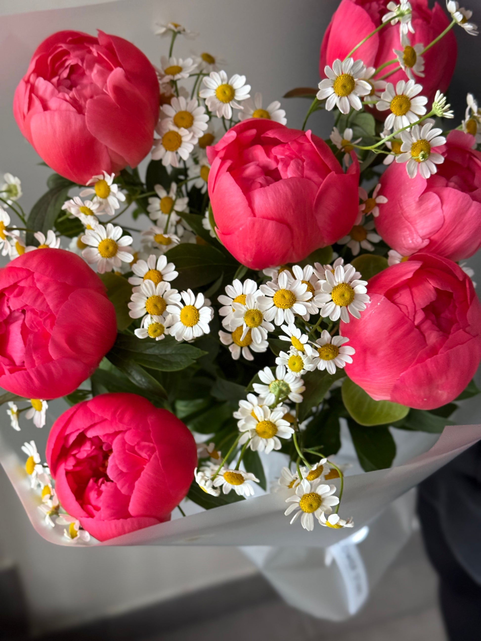 Korallipäikeselised lähepeonid ja matricaria | Королевский закат пионы с матрикарией | 7 Coral Sunset Peonies with Matricaria