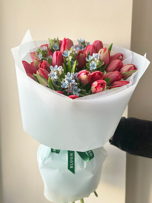 Red tulips with blue oxypetalum – BloomRoom.ee, fresh flowers in Tallinn