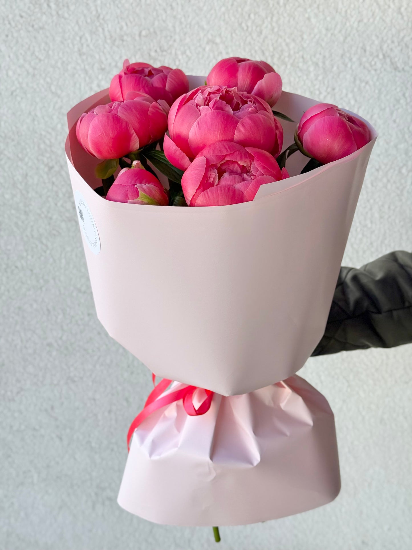 7 "Coral Charm" Peonies