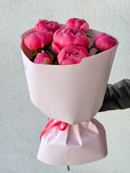 7 "Coral Charm" Peonies