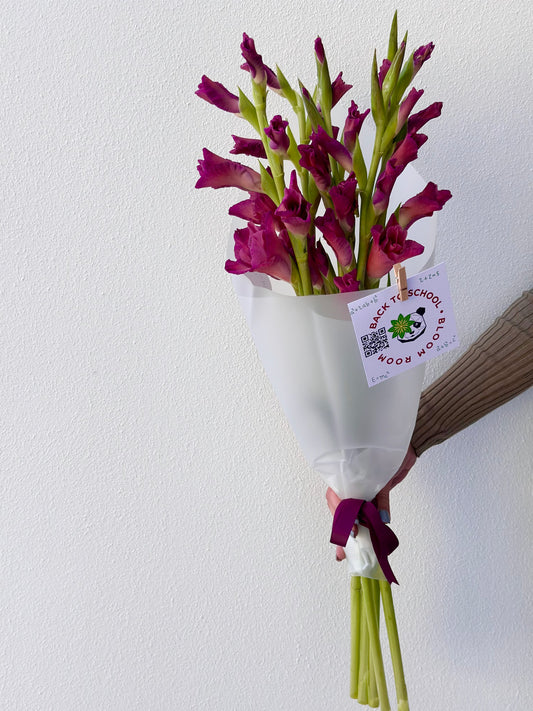 5 "Indian Summer" Gladioluses
