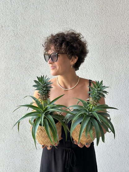 An elegant woman holding two pineapple plants in woven baskets, showcasing luxury indoor greenery | Элегантная женщина держит два ананасовых растения в плетёных корзинах, демонстрируя роскошное домашнее озеленение | An elegant woman holding two pineapple plants in woven baskets, showcasing luxury indoor greenery