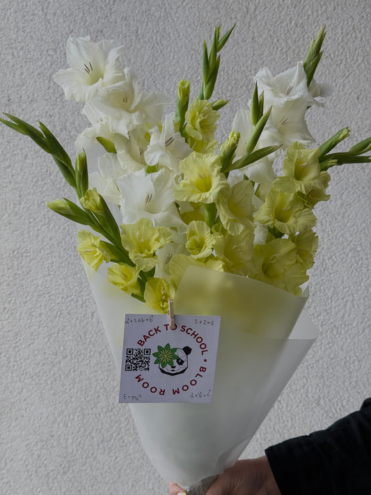 “Back to School” with 7 Gladioluses