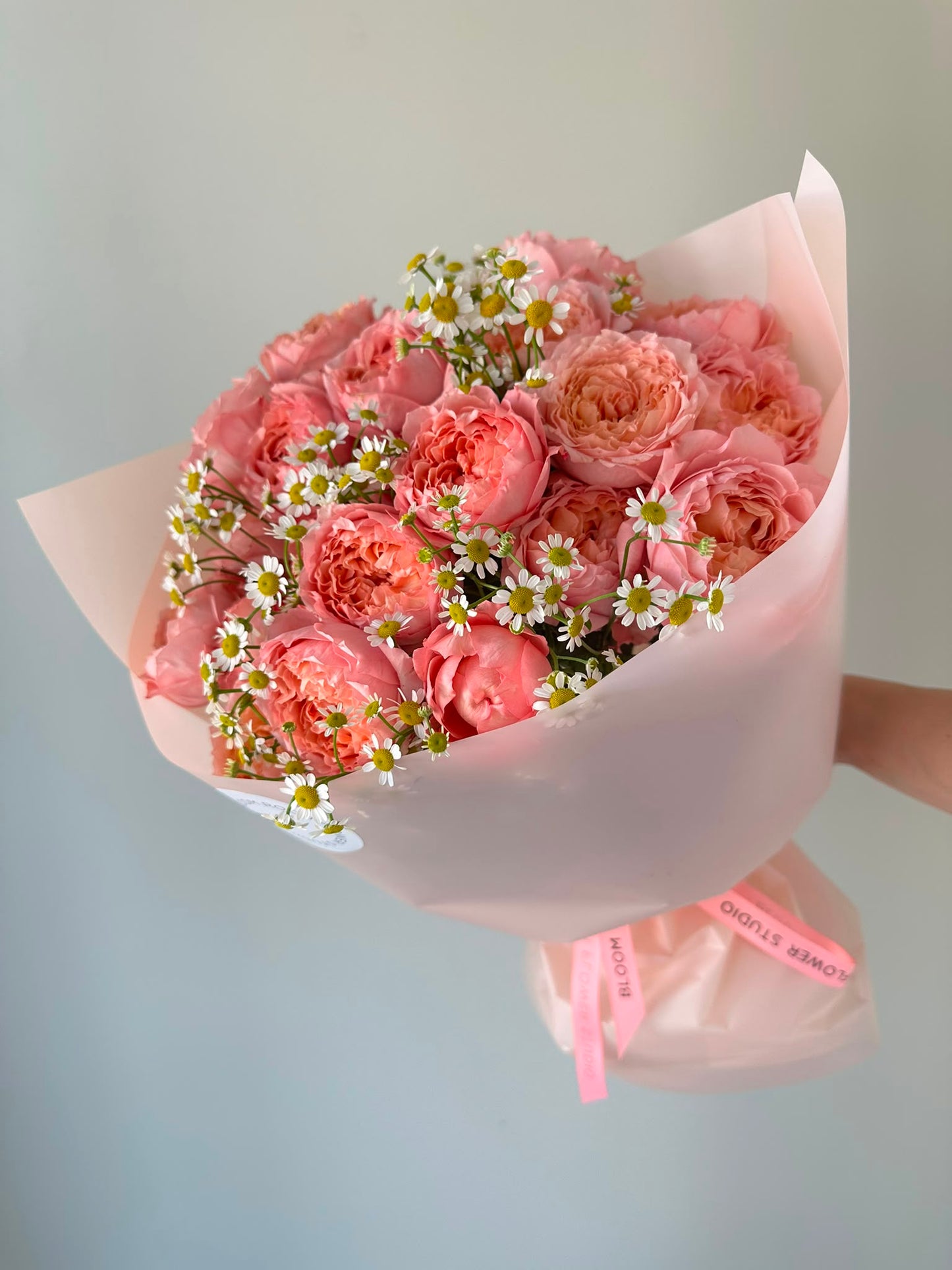 "Julietta” Garden Peony Roses with Daisies