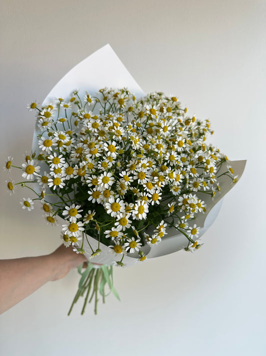 «Daisies” Bouquet – BloomRoom.ee, fresh flowers in Tallinn