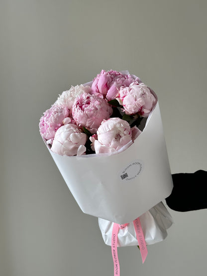 7 «Sarah Bernard” peonies