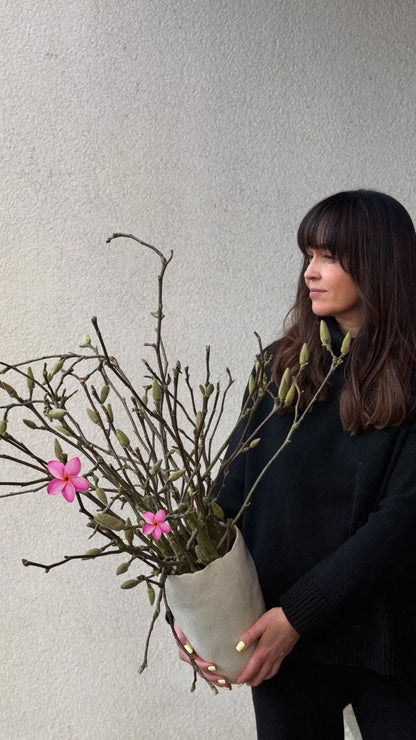 🌸 1 steam of Magnolia