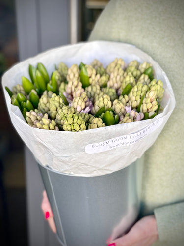 50 items pink hyacinths + bucket
